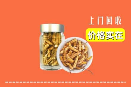 诚信求购:乐山峨边县高价回收散虫草