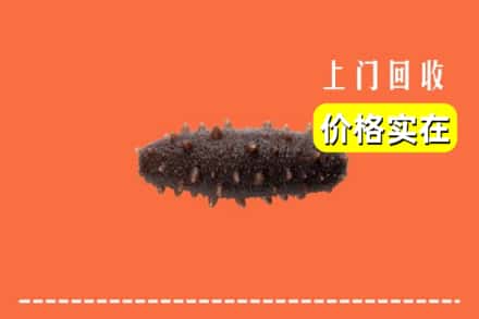 乐山峨边县回收海参