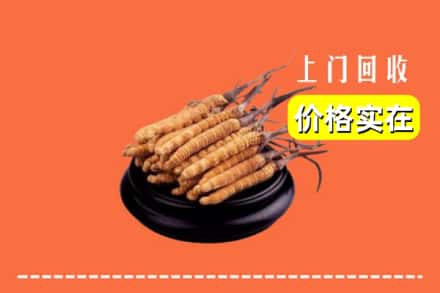 诚信求购:乐山峨边县高价回收冬虫夏草